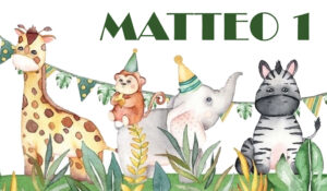 Matteo 1